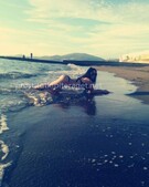 Анкета проститутки Виктория - метро Коньково, возраст - 21